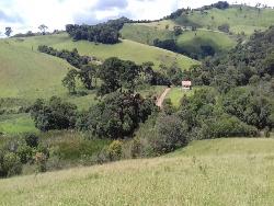 Venda em Zona Rural - Bueno Brandão