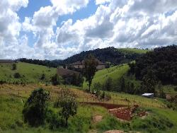 Venda em Zona Rural - Bueno Brandão