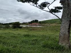#128 - Fazenda para Venda em Serra Negra - SP - 1