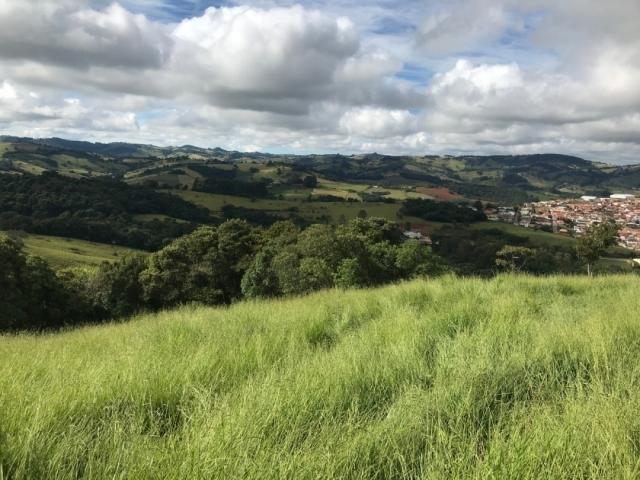 #170 - Terreno para Venda em Bueno Brandão - MG - 3