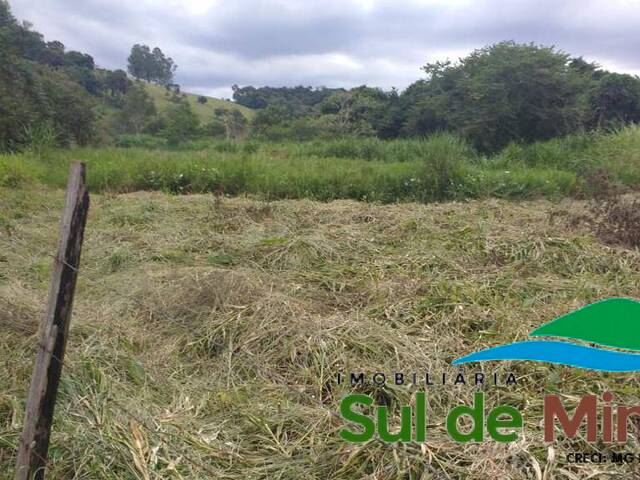#201 - Sítio para Venda em Bueno Brandão - MG - 2