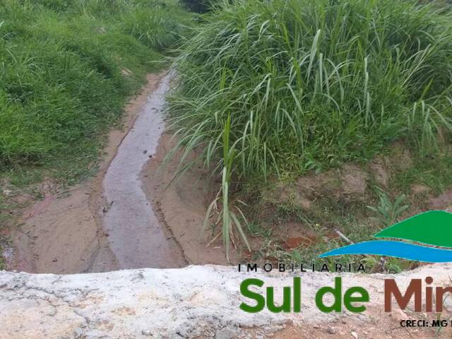 Sítio para Venda em Bueno Brandão - 5