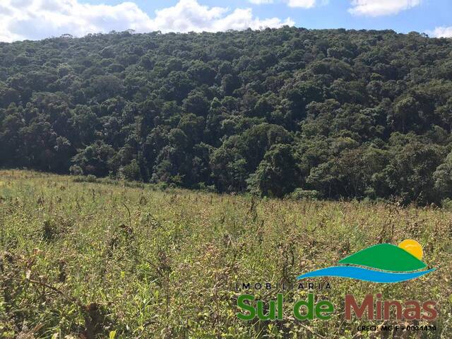 #204 - Área para Venda em Bueno Brandão - MG