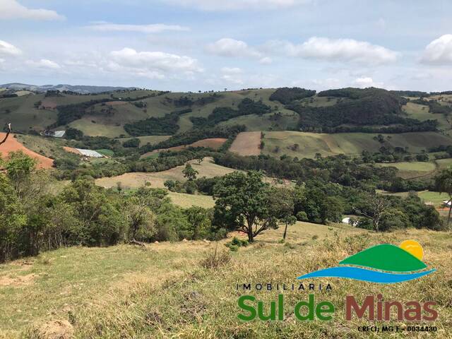 Venda em Zona Rural - Bueno Brandão