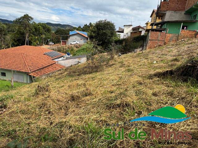 #310 - Lote para Venda em Bueno Brandão - MG - 2