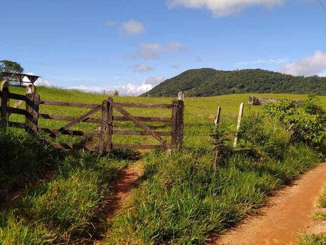 #174 - Terreno para Venda em Monte Sião - MG - 1
