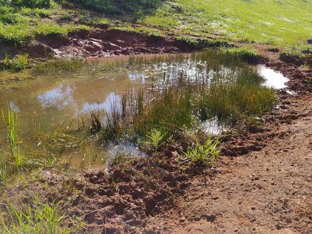 Terreno para Venda em Monte Sião - 4