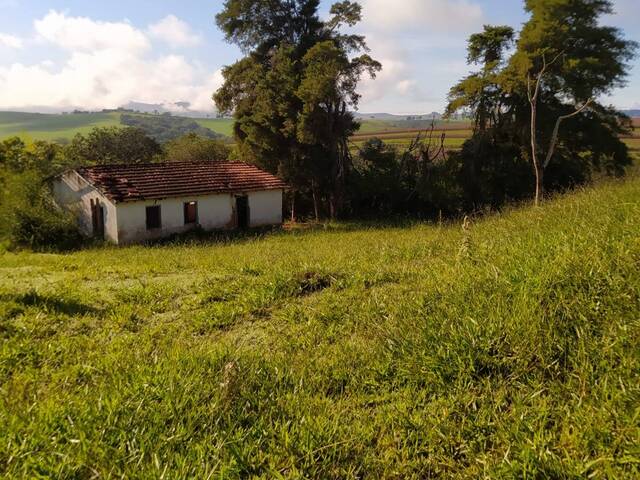 Terreno para Venda em Monte Sião - 5