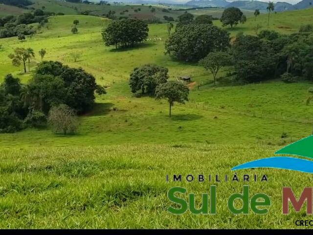Terreno para Venda em Monte Sião - 4