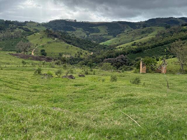 #312 - Área para Venda em Bueno Brandão - MG