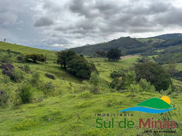 #312 - Área para Venda em Bueno Brandão - MG