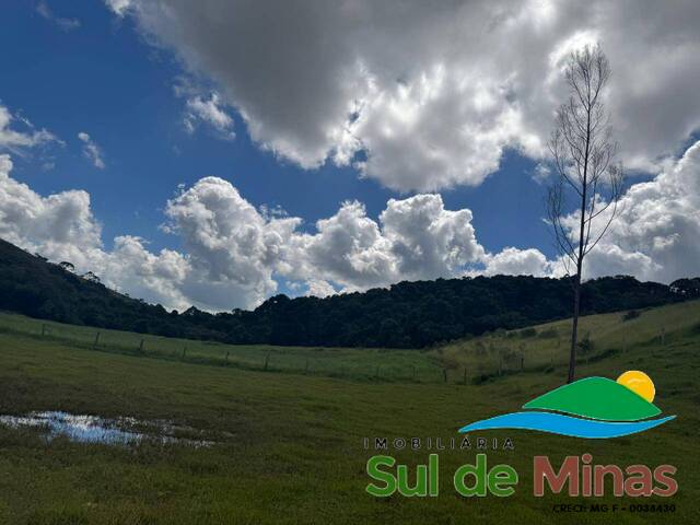 Terreno para Venda em Bueno Brandão - 5