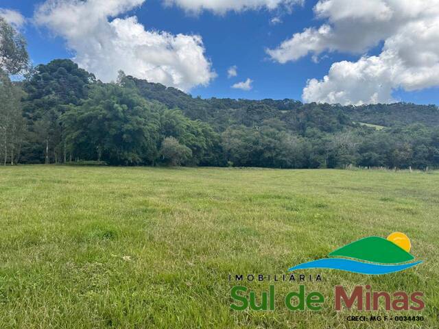 Terreno para Venda em Bueno Brandão - 4