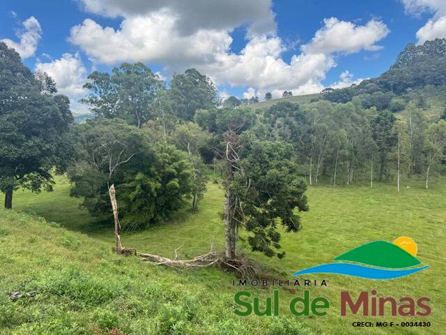 #179 - Terreno para Venda em Bueno Brandão - MG