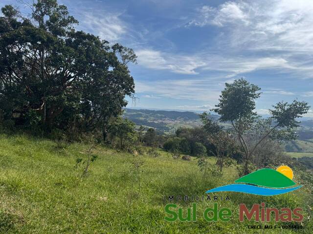 #180 - Sítio para Venda em Bueno Brandão - MG - 3